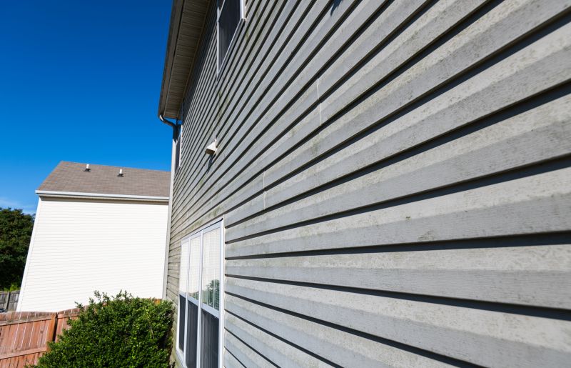 Expert Siding Panel Replacement